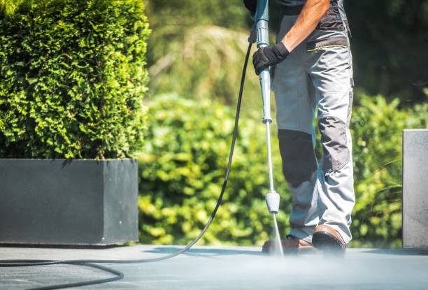 Best Gutter Cleaning  in Franklin Center, NJ